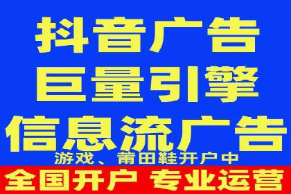 百度竞价广告的投放策略与成功案例分析
